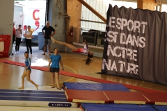 35928764_10156558726999791_6645473425311662080_n