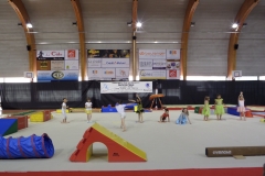 SAMSUNG CAMERA PICTURES