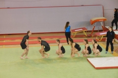 12695862_10153858037468290_99527614_n