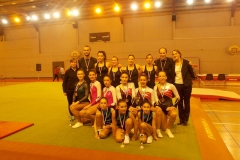 12696051_1057656974273978_761866087_n