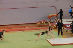 12696129_10153858037453290_712795838_n