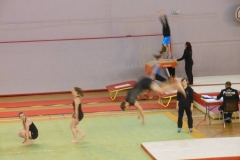 12714307_10153858037473290_5523739_n