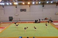 12714432_10153858028063290_1123557608_n