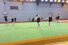 12746460_10208759612325167_334506210_n