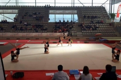 16838031_10212031939776792_667378981_n