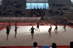 16900293_10212031940216803_834977162_n