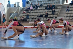 Teamgym Région Belfort 001
