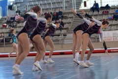 Teamgym Région Belfort 002