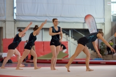 Teamgym Région Belfort 019