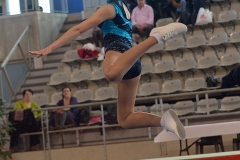 Teamgym Région Belfort 031