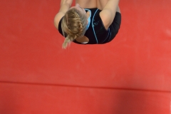 Teamgym Région Belfort 042