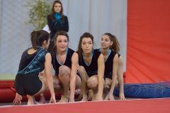 Teamgym Région Belfort 044