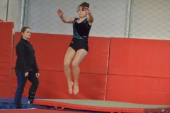 Teamgym Région Belfort 046