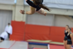 Teamgym Région Belfort 070