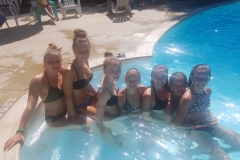 37ca4809-be46-4202-b211-6754d5904683