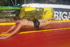 53547441-f8ec-4d08-b4c1-ab862827492a