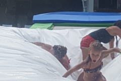 58aaef0b-48ac-474c-88e0-1795dfb6db62