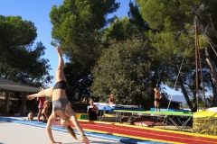 9cf96a11-5d56-4a36-9741-c4564110ab06