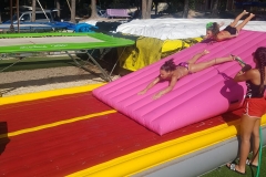 b9d9e331-bc0d-4f3e-b3c8-ecc081b8f2d1