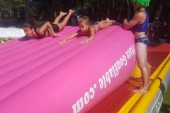 c1a617fc-6db1-4134-984f-c860c9109e1f