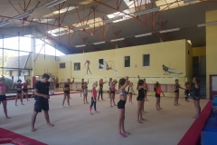 dbdd1d27-87b0-4667-a844-abf75a790329