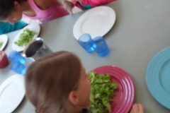 SAMSUNG CAMERA PICTURES