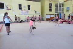 IMG_1205