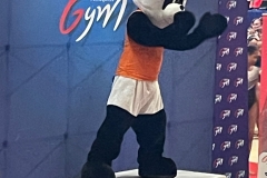 WhatsApp-Image-2024-05-12-a-18.33.35_8aa4a1ec