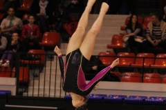 12472440_1102784086429581_5111522839079646205_n