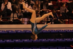 12919839_1102783206429669_5245627068883924350_n