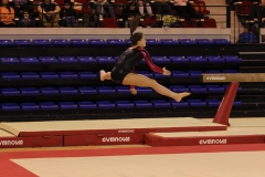 12928392_1102784193096237_5702188245438374464_n