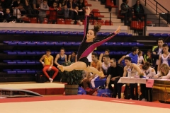 12932838_1102784299762893_4044243728279688503_n