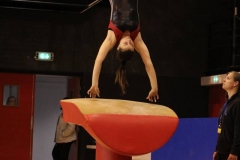 12933086_1102783473096309_2437539593253206200_n