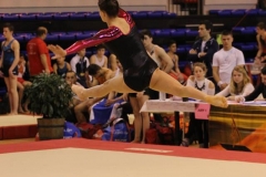 8365_1102784153096241_4760371744476820334_n