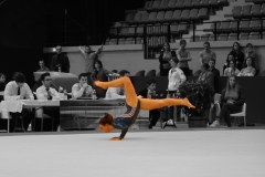 IMG_2666