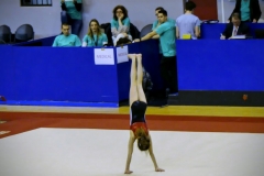 P1010992