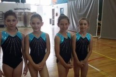 19358938_10213164756976514_399563543_o