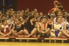 12077048_10208243833629384_318174313_n